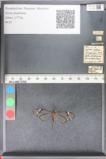 Media type: image;   Entomology 107206